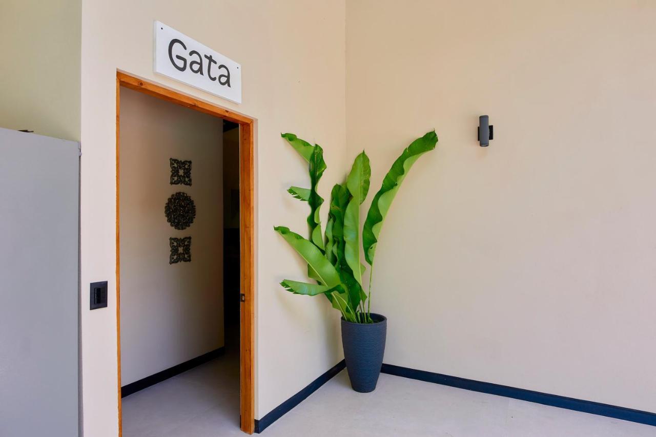 Lalola Villa Privada Cahuita Eksteriør billede
